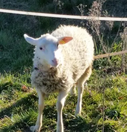 Les Gites Du Domaine De Bertrandy * Allemagne-en-Provence